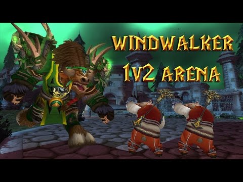 Mirror Match Turns Into A Clutch 1v2! | Legion Windwalker/Mage 2v2 Highlight