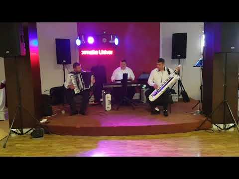 FORMATIA UNIVERS DIN BUCURESTI SARBA INSTRUMENTALA2-0744166695