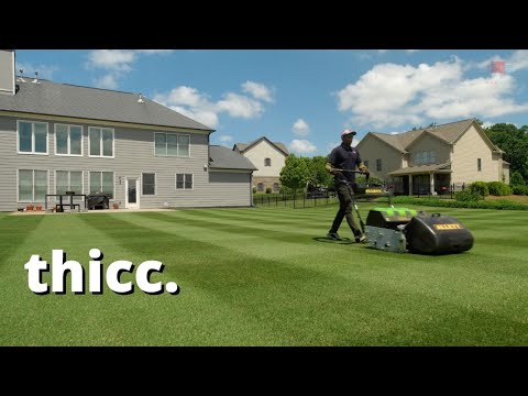 How to Mow Thick Lawn Stripes #golfcourselawn