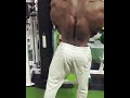 Big and massive back!!!