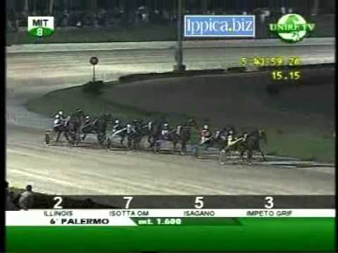 Premio Trinacria 2008 -Illinois