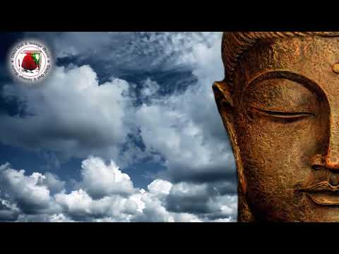 The Best of Buddha Luxury Bar 2018 Summer set