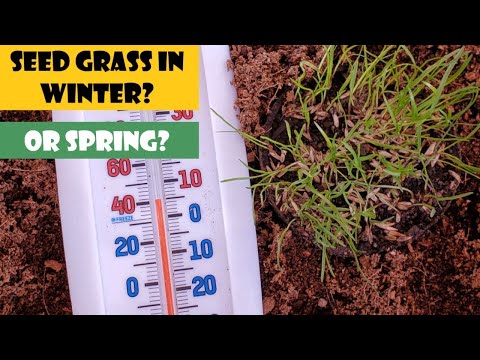 Dormant Seeding vs Spring Seeding ~ Not An Easy Decision