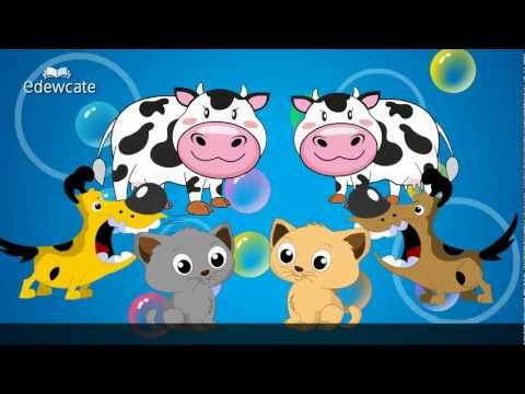 Edewcate english rhymes - Animal Sounds song