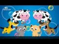 Edewcate English Rhymes Animal Sounds Song