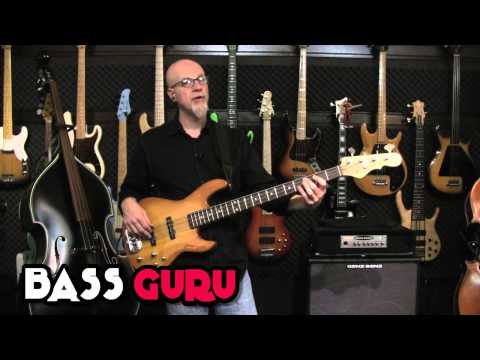 Bass Guru: Ed Friedland Bass ASAP 8