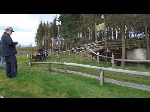 Fahrturnier Greffen 10.4.2022