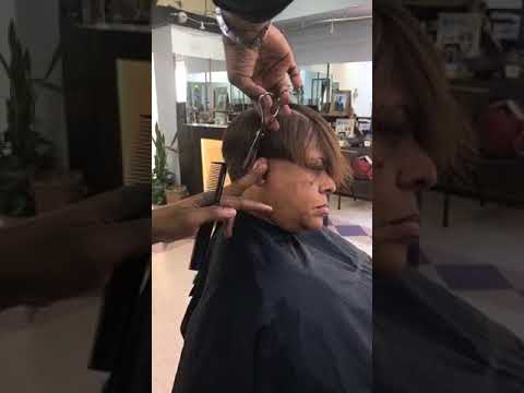 Hairhunt.com  haircutting demo