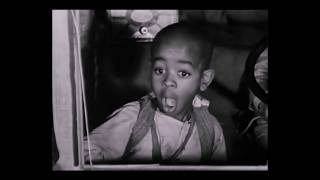 Baha Men - Rat Race (Running And Driving)