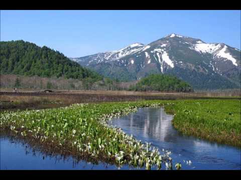 こども学科 夏の思い出（２年１学期）伴奏のみ　※原曲どおり