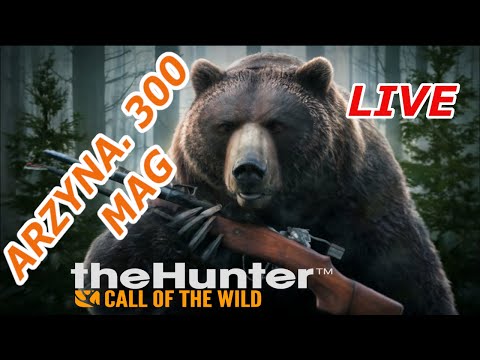ARZYNA.300 MAG TACTICAL VS ZARZA .308 Black Bear GRINDING | Beginner COTW GUIDE !!Call Of The Wild