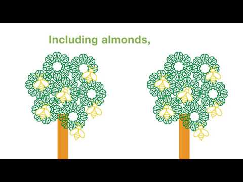 Helping Feed the World