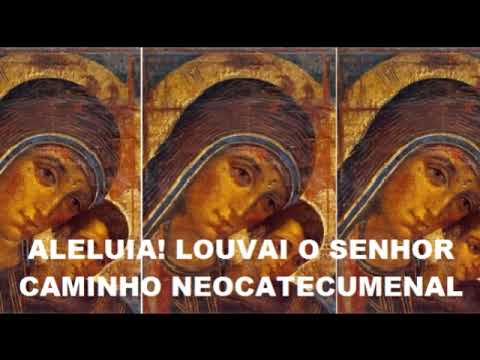 Aleluia! Louvai O Senhor video