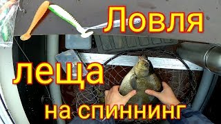 Как правильно ловить леща на спиннинг