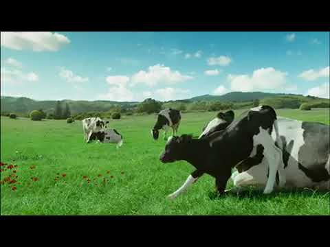 Sutash reklama makedonska verzija 2018