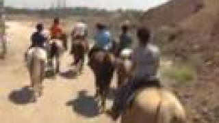 preview picture of video 'Matityahu boys go horseback riding'