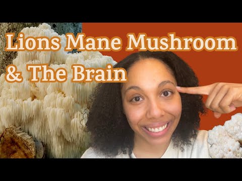 Lions Mane Mushroom Complete Guide: Brain Health, How To Take, What it Is, Supplement Benefits