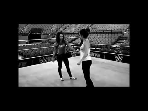 Sasha Banks & Bayley tribute