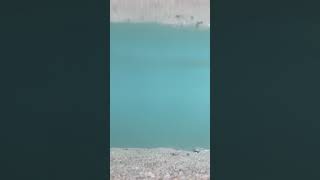 水。綺麗。夏。