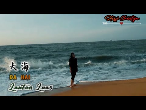 Da Hai 《 大海 》- 张雨生 | Steffi Chintya 翻唱 拼音歌词 Terjemahan