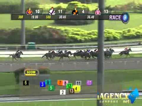 SINGAPORE RACE 15/12/2013 RACE 9 - iAgencyNet.com