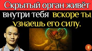 Скрытый орган внутри тебя меняет твою жизнь прямо сейчас