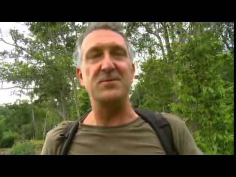 Last Chance to See 2   Northern White Rhino 2009