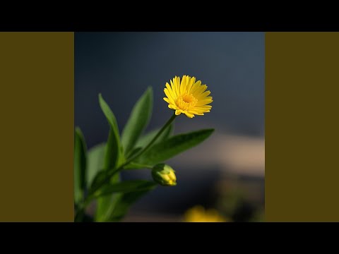 Tomorrow Starts Here