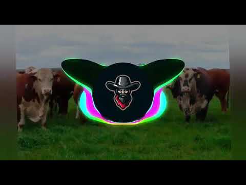 DJ Lucas Beat and João Bosco & Vinicius - Bloqueia Eu Remix