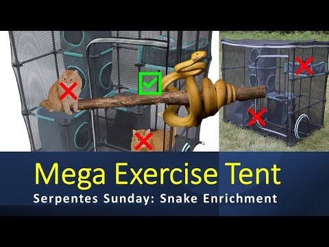 Mega Exercise Tent: Snake City