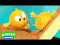 Onde Está Chicky 2020 A PORTA Desenhos Animados Infantil