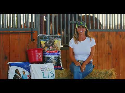 I’ve Got Wheels Episode 5- Ropes and Horses