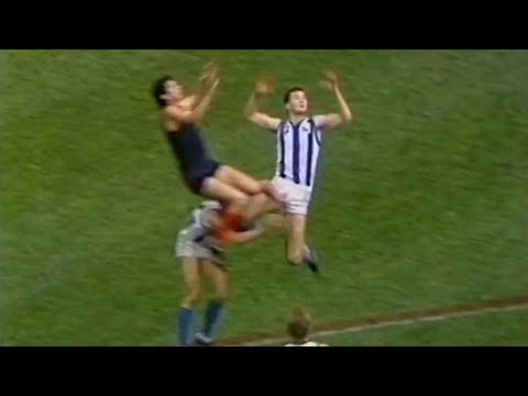 Robert Flower - 1987 Elimination Final - Melbourne v North Melbourne