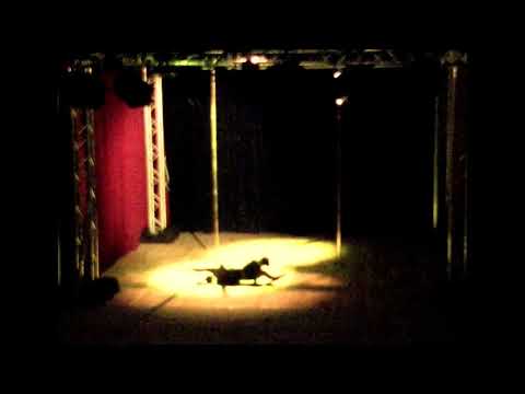 Djannatie Mdaouhoma - Championnat inter régional pole dance Nord Est - Catégorie Adultes Femmes