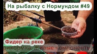 Лещевая прикормка сенсас и ее компоненты