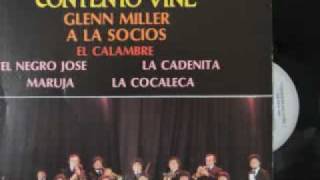 Qué Noche, Qué Luna y Qué Gato Lyrics English Translation
