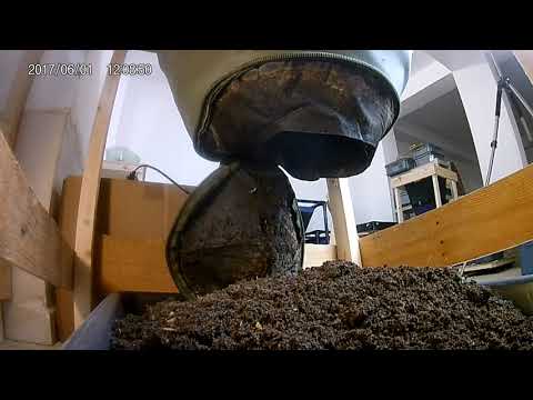 VermiBag  Ep 119  Harvest of the VermiBag Max "Trash Bag"