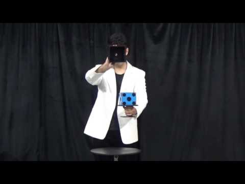 Mental Dice by Tora Magic Company