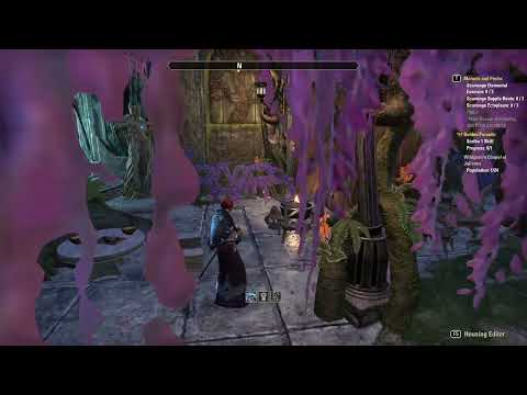 ESO Wildgrown Chapel of Julianos Custom PTS Build
