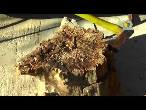 Emisiunea Mincinosii la Casa de vacanta Regina Deltei - partea I