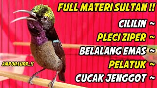 Download lagu KONIN GACOR FULL NEMBAK ISIAN CILILIN KASAR ! COCOK BUAT PANCINGAN KOLIBRI NINJA BAHAN KURANG EMOSI mp3 Download lagu KONIN GACOR FULL NEMBAK ISIAN CILILIN KASAR ! COCOK BUAT PANCINGAN KOLIBRI NINJA BAHAN KURANG EMOSI mp3