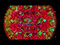 Treasure - Music by Sounds From The Ground, Visual Music by Chaotic