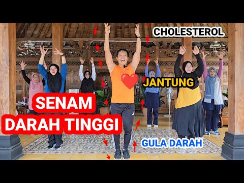 SENAM DARAH TINGGI - JANTUNG 💓 - KOLESTEROL - GULA