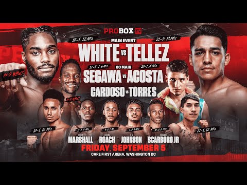LIVE Boxing – White vs Tellez | ProBox TV Contender Series | September 5