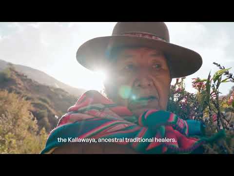 Traditional medicine perspectives from Bolivia, Mexico and Peru - WHO's "Restoring Balance" series