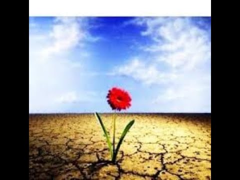 Trombone - Pródigo filho