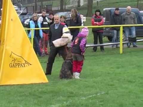 Výběrová soutěž na M ČR mládeže 2013