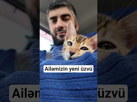 Welcome Leo 😀 #harunmemmedov #heyvanlar #shorts