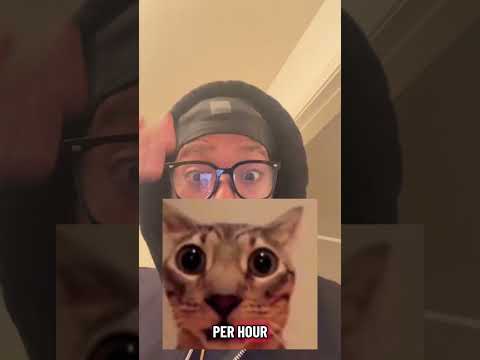 How Fast Can a 10 Foot Animatronic Run?