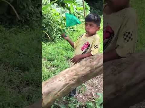 hasta los niños hacen el tradicional bolo cremoso Bolíviano